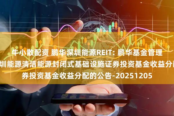牛小散配资 鹏华深圳能源REIT: 鹏华基金管理有限公司关于鹏华深圳能源清洁能源封闭式基础设施证券投资基金收益分配的公告-20251205