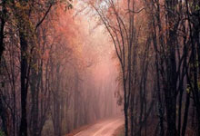 买股票哪个平台:股票怎么申请杠杆-公募、券商与社保基金“同框”145只个股 89只属于新质生产力概念